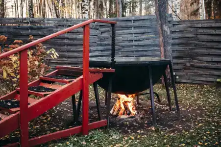 Гуси-Лебеди - 32