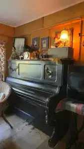 Приют - 45