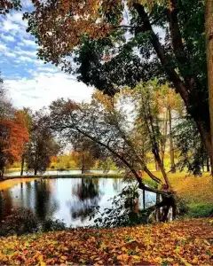 Берег - Антонпалыч - 49