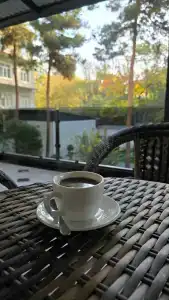 Dsf Garden - 5