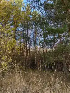 Это база - 49