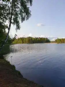 Васильево - 11