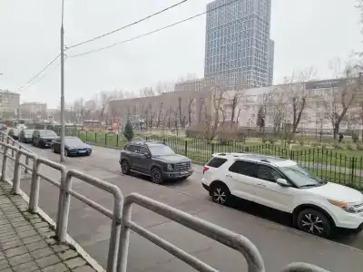 Рея Дубровка - 17