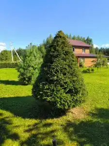 Селигерец - 22