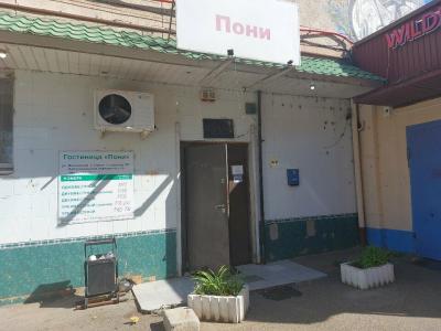 Пони - 15