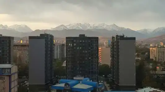 Sofia International - 4