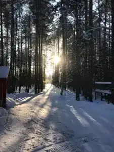 Нёмда - 40