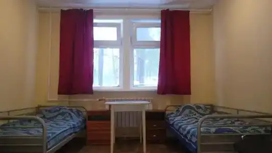 Зеленый бор - 0