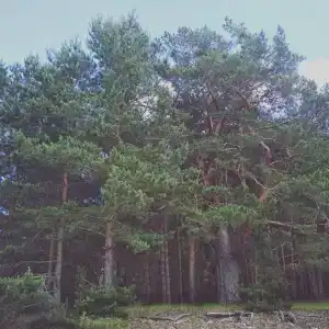 Озёры - 16