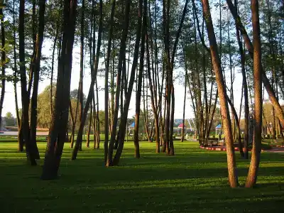 Нежеголь - 2