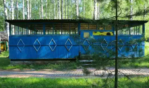 Подсолнухи - 21