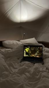 Вазуза Лав - 94