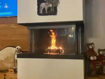 Три совы - 65