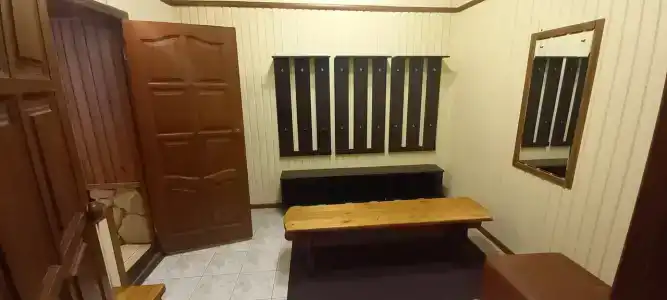 Любисток - 22
