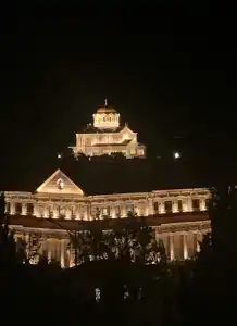 Дельфин - 14