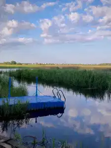 Горушка - 4