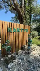 Кактус Арт - 46