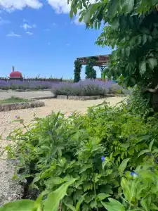 Фридом Веселовка - 60