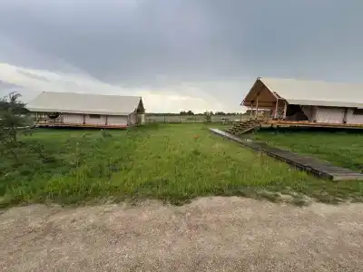 Птички - 11