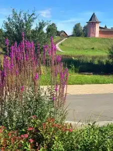 Гостевой дом Суриковых - 87