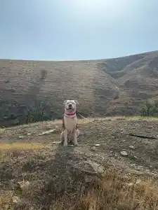 в Бугазе - 19