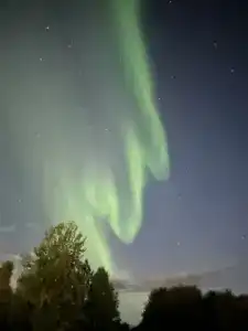 Гольфстрим - 87