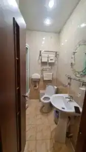 АСВ - 21