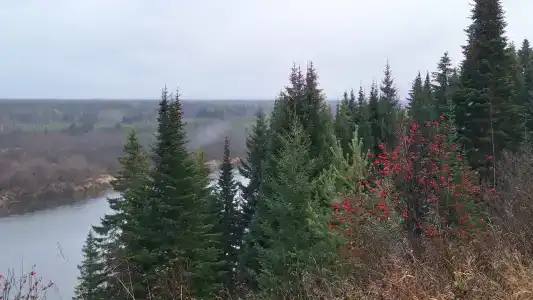 Охотничья слобода - 9
