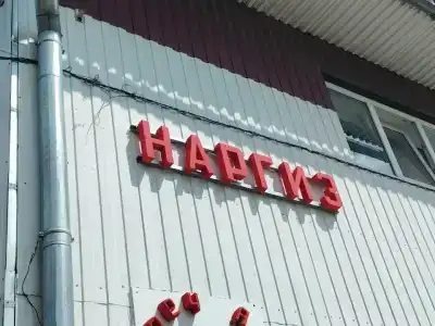Наргиз - 4