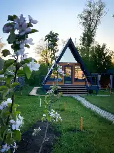Белуга - 2