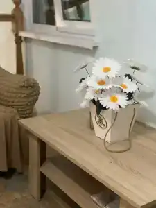 Напсо - 7