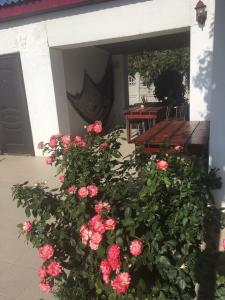 Home Sweet Home - 3