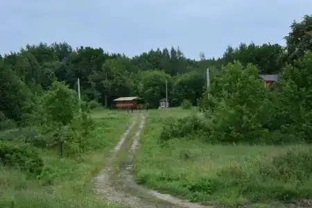 Палан - 16