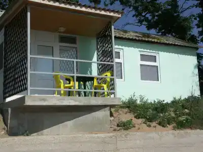 Жемчужный - 27