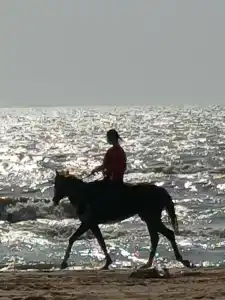 Кизлярская Лагуна - 20