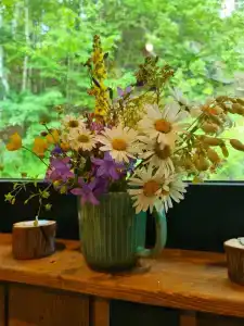 Jakoniemi village - 40