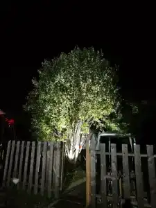 Теремок - 9