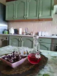 Сирин дом - 67