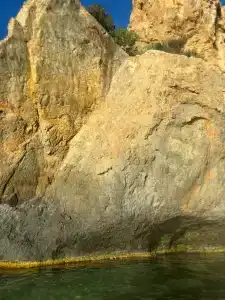 Фиолентовский - 10