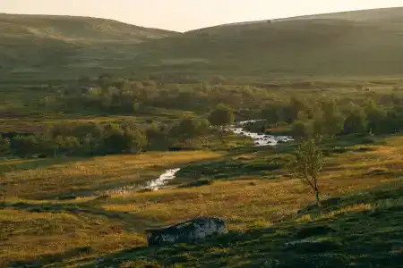 Олёнка лодж - 10