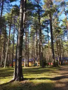 Стёпаново - 24