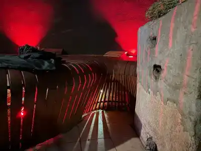 Гуси-Лебеди - 74