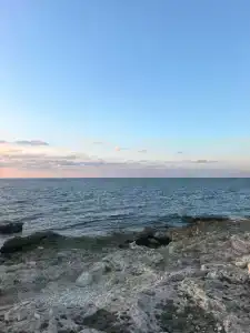 Морская жемчужина - 41