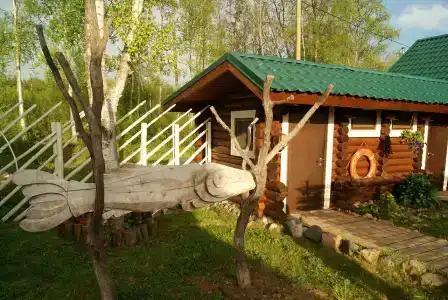 Онежский петроглиф - 44