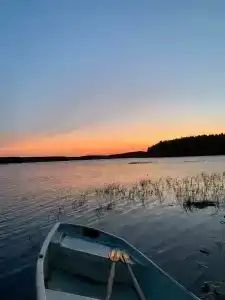 Медвежья Лапа - 41