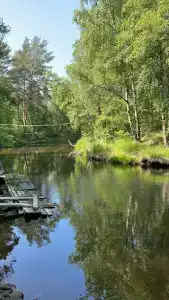 Лосево - 1