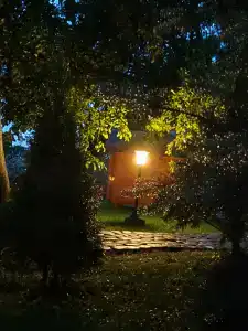 Здоровей - 96