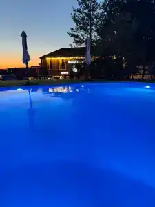 Магия леса - 11