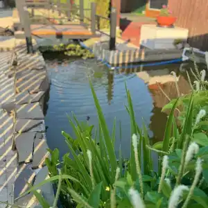 Солнечный Остров - 33