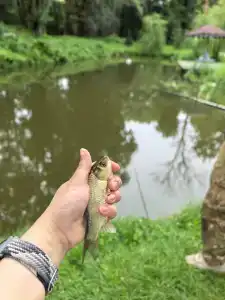 Два Озера - 39